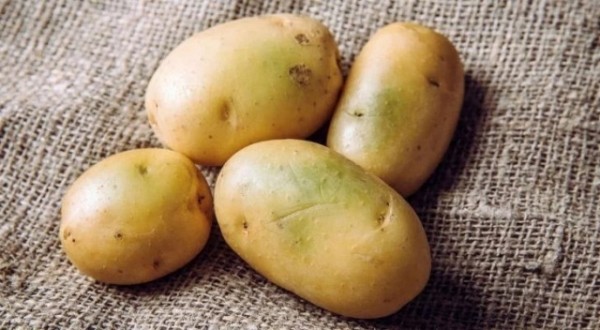 Топ-10: Важные факты про картофель Топ-10: Важные факты про картофель