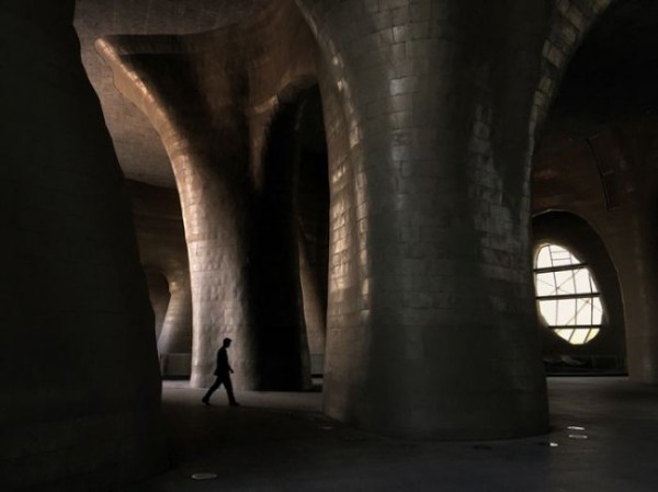 Лучшие фотографии 2015 года сделанные на мобильник (15 фото)