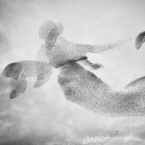 Победители конкурса на лучшую минималистичную фотографию 2021 года (18 фото) Победители конкурса на лучшую минималистичную фотографию 2021 года (18 фото)