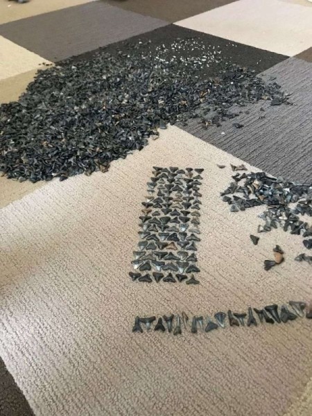 16 впечатляющих коллекций необычных вещей, и маркам с монетами до этого далеко