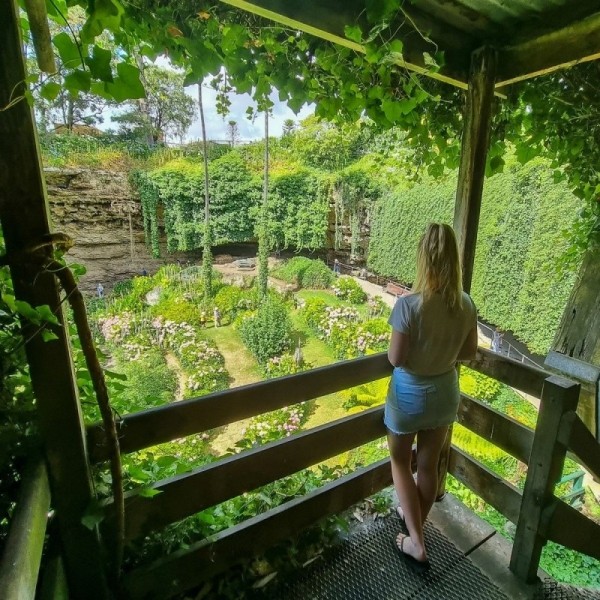 Удивительный сад из "Алисы в Стране чудес" Удивительный сад из "Алисы в Стране чудес"