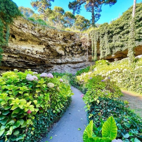 Удивительный сад из "Алисы в Стране чудес" Удивительный сад из "Алисы в Стране чудес"