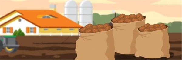 10 безумно занимательных логических парадоксов