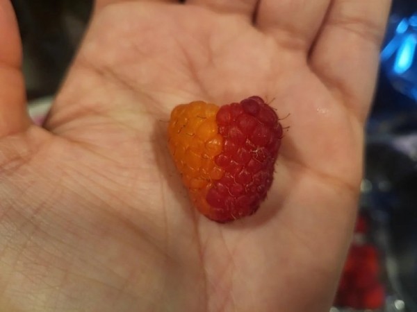 15 фотографий природных явлений, которые удивят даже отъявленных сухарей