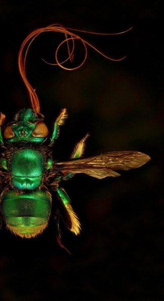 Захватывающие фотографии природы, получившие премию 2022 International Photography Awards (19 фото)