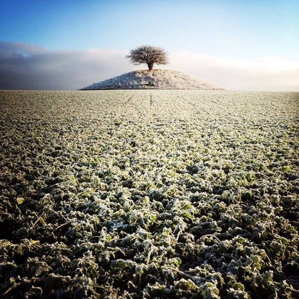 Лучшие фотографии 2015 года сделанные на мобильник (15 фото)