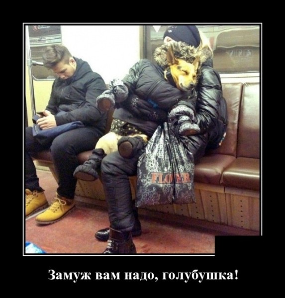 Прикольные демотиваторы