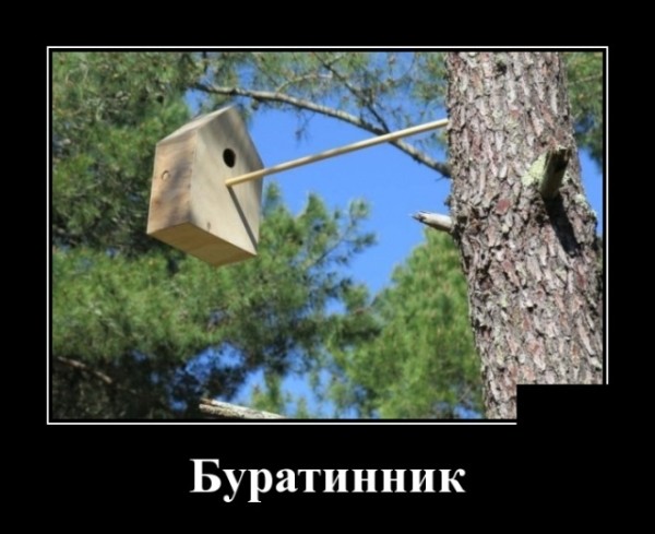 Прикольные демотиваторы