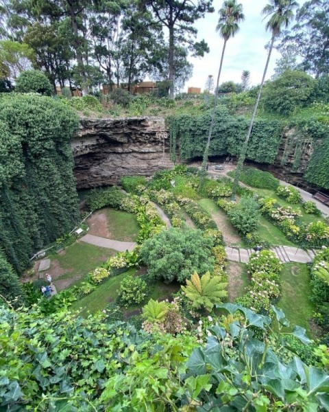 Удивительный сад из "Алисы в Стране чудес" Удивительный сад из "Алисы в Стране чудес"