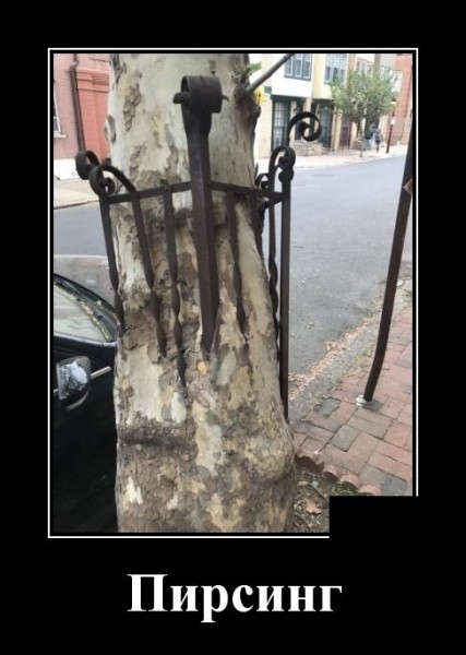 Прикольные демотиваторы