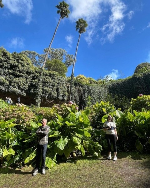 Удивительный сад из "Алисы в Стране чудес" Удивительный сад из "Алисы в Стране чудес"