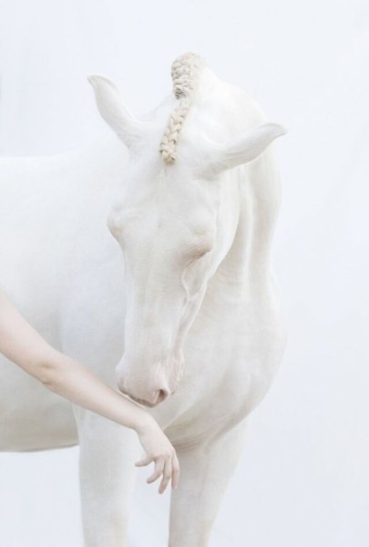 Захватывающие фотографии природы, получившие премию 2022 International Photography Awards (19 фото)