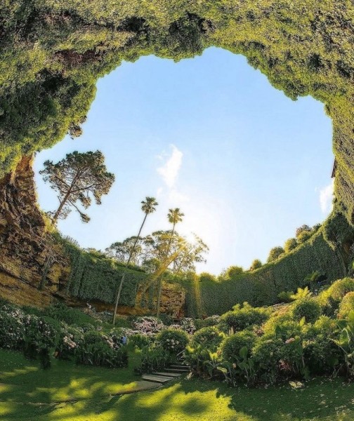 Удивительный сад из "Алисы в Стране чудес" Удивительный сад из "Алисы в Стране чудес"