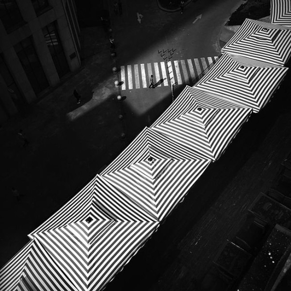 Лучшие фотографии 2015 года сделанные на мобильник (15 фото)