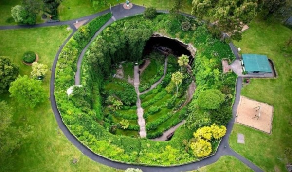 Удивительный сад из "Алисы в Стране чудес" Удивительный сад из "Алисы в Стране чудес"