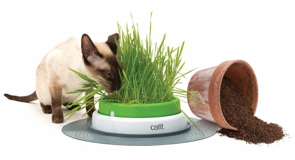 ТОП-10 прикольных вещей для здоровья вашего кота (10 фото) ТОП-10 прикольных вещей для здоровья вашего кота (10 фото)