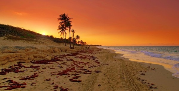 Когда очень хочется на Кубу Когда очень хочется на Кубу