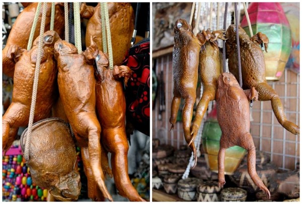 Пиво из слоновьего навоза и мошонка кенгуру — 9 самых странных сувениров