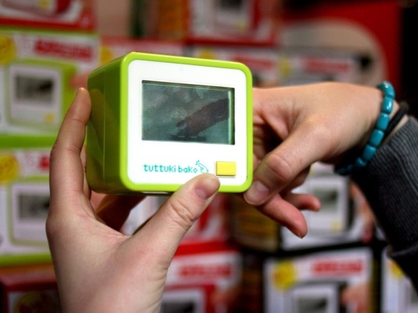 Пиво из слоновьего навоза и мошонка кенгуру — 9 самых странных сувениров