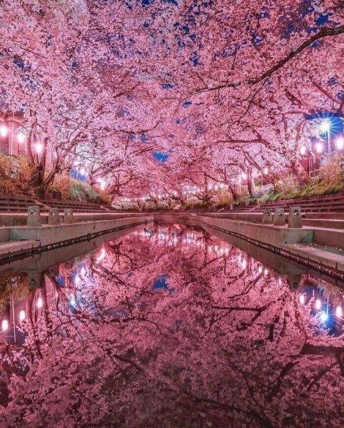 30 ошеломительно красивых мест Земли 30 ошеломительно красивых мест Земли