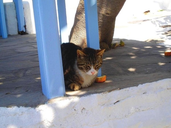 30 поводов влюбиться в Грецию 30 поводов влюбиться в Грецию