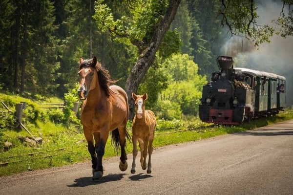 50 причин посетить Румынию 50 причин посетить Румынию