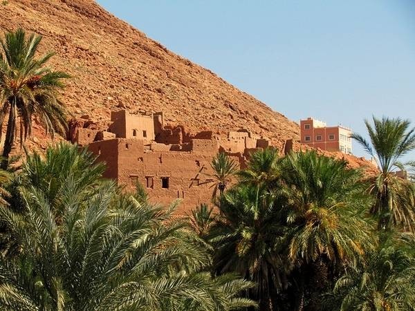 7 самых красивых оазисов мира (21 фото)