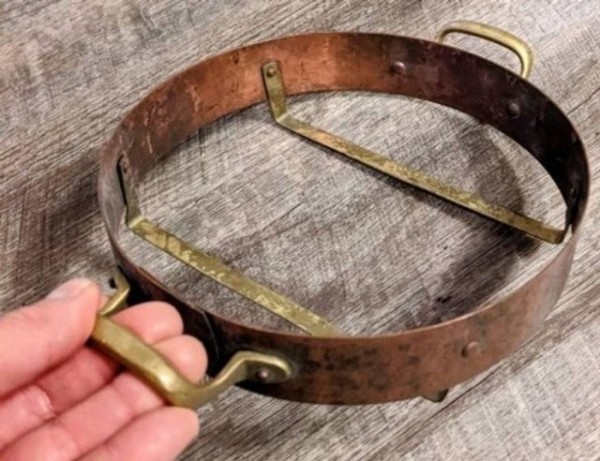 19 раз, когда коллективный разум помог людям узнать, что же они нашли