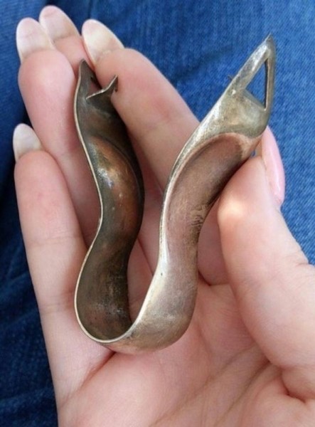 19 раз, когда коллективный разум помог людям узнать, что же они нашли