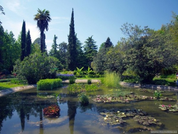 Топ-10 парков Сочи, которые нужно обязательно посетить Топ-10 парков Сочи, которые нужно обязательно посетить