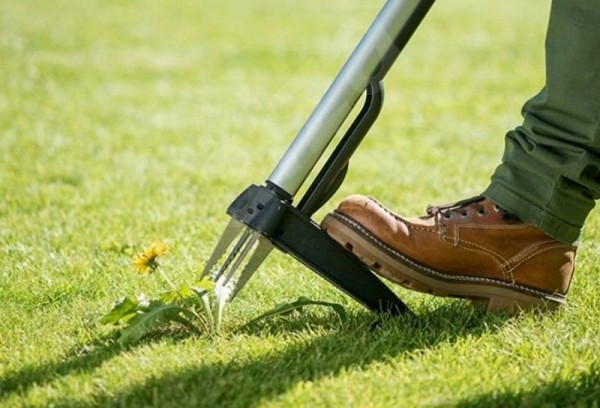 Странные предметы, которые на деле используются для привычных действий Странные предметы, которые на деле используются для привычных действий