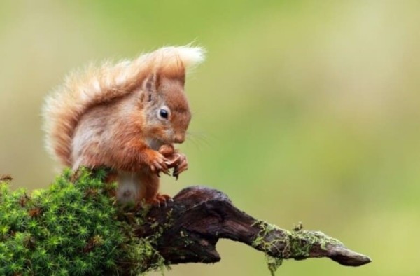 25 забавных и удивительных фактов о нашем увлекательном мире 25 забавных и удивительных фактов о нашем увлекательном мире