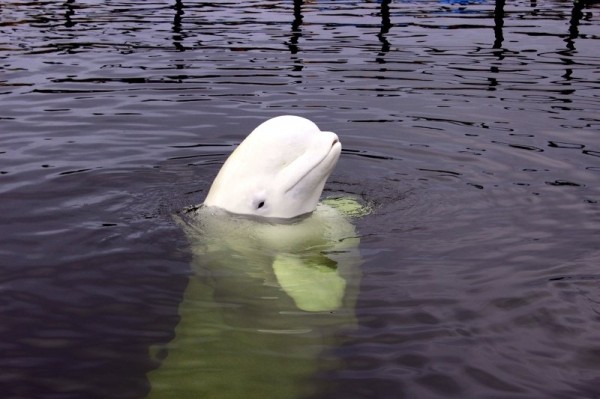 26 слов и выражений, которые мы часто используем, даже не подозревая об их происхождении