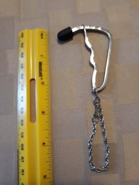 19 раз, когда коллективный разум помог людям узнать, что же они нашли