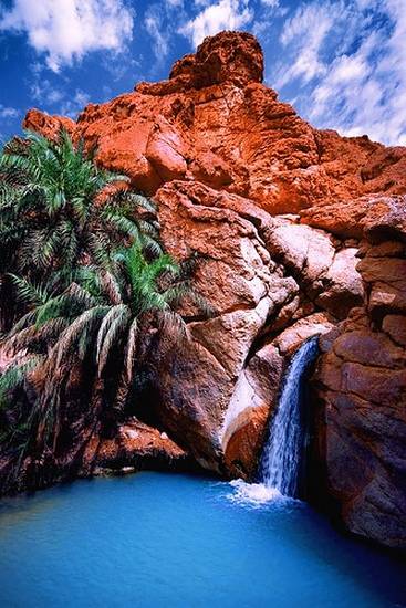 7 самых красивых оазисов мира (21 фото)