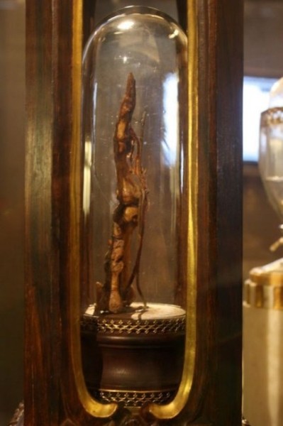 Средний палец Галилео Галилея в музее Флоренции (6 фото) Средний палец Галилео Галилея в музее Флоренции (6 фото)