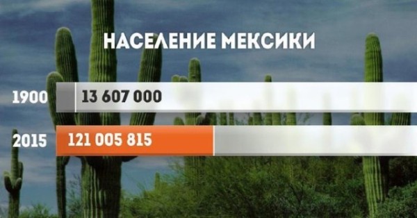 Прирост населения в разных странах мира