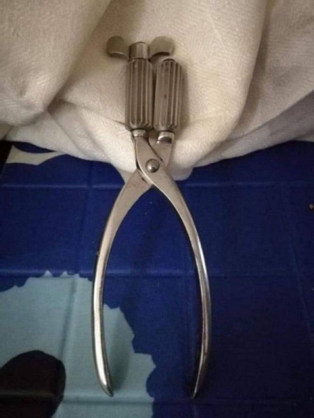 19 раз, когда коллективный разум помог людям узнать, что же они нашли