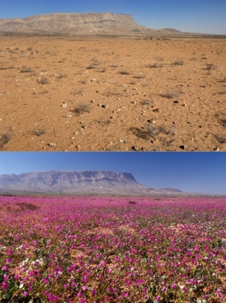 Альтернативный ракурс на знаковые места и события (23 фото) Альтернативный ракурс на знаковые места и события (23 фото)