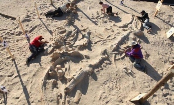 Находки археологов из пустыни, которые озадачили ученых