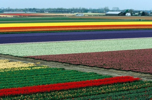 Лучший художник — природа, потрясающе красивые места в разных уголках планеты Лучший художник — природа, потрясающе красивые места в разных уголках планеты