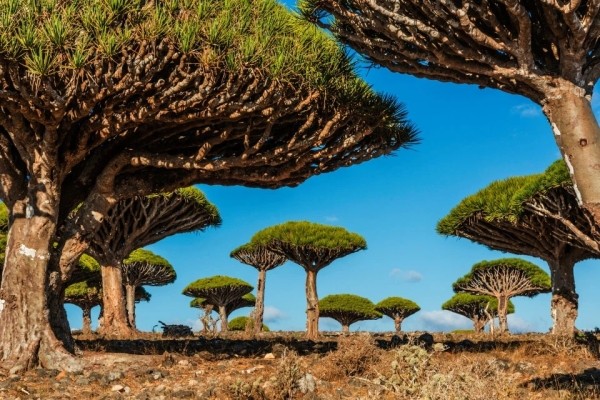 Лучший художник — природа, потрясающе красивые места в разных уголках планеты Лучший художник — природа, потрясающе красивые места в разных уголках планеты