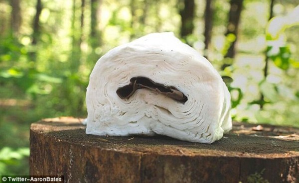 Однажды я в поход собрался… Эпичные ошибки любителей отдыхать на природе Однажды я в поход собрался… Эпичные ошибки любителей отдыхать на природе