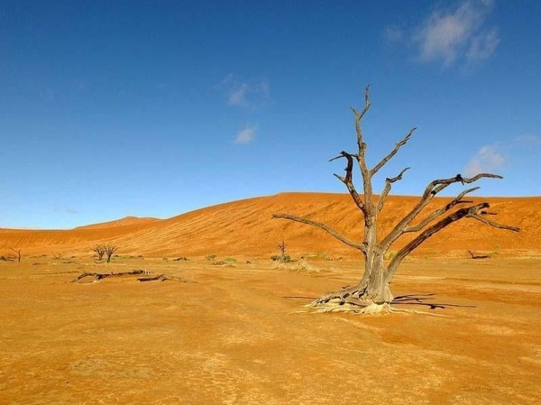 Сюрреалистические пейзажи парка Намиб-Науклуфт Сюрреалистические пейзажи парка Намиб-Науклуфт