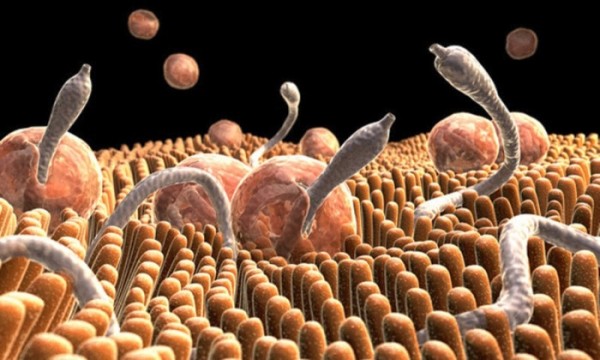 Вот это отдохнули! Опасные болезни, которые можно подцепить за границей Вот это отдохнули! Опасные болезни, которые можно подцепить за границей