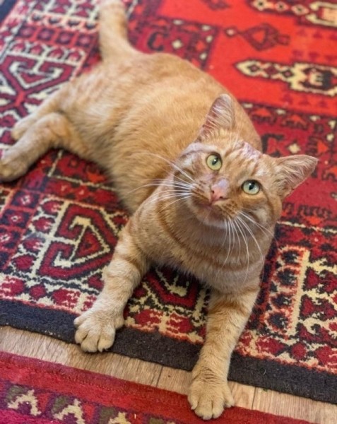 Вещи из советского прошлого, которые рано отправлять на свалку Вещи из советского прошлого, которые рано отправлять на свалку