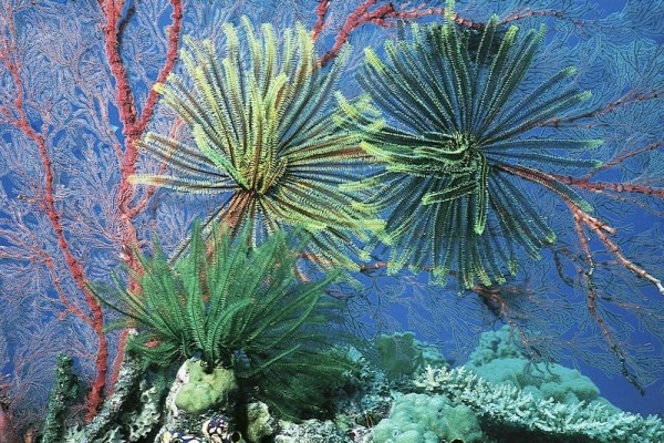 20 мест, в которых миром правит цвет