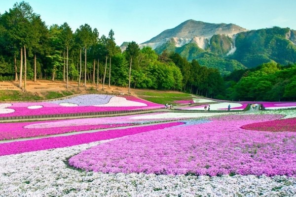 20 мест, в которых миром правит цвет