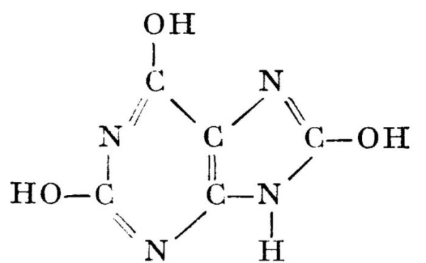 Каким образом птичий помет вредит кузову автомобиля и как его можно легко убрать