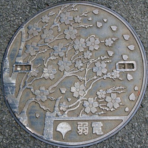 Японские канализационные люки (28 фото)